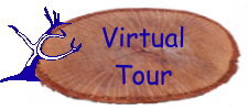 Virtual Tour